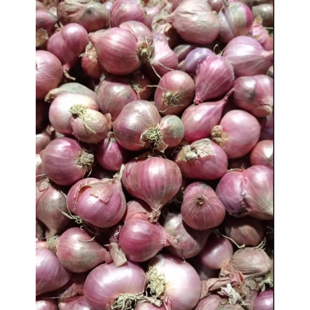 

BAWANG MERAH KONSUMSI (2kg)