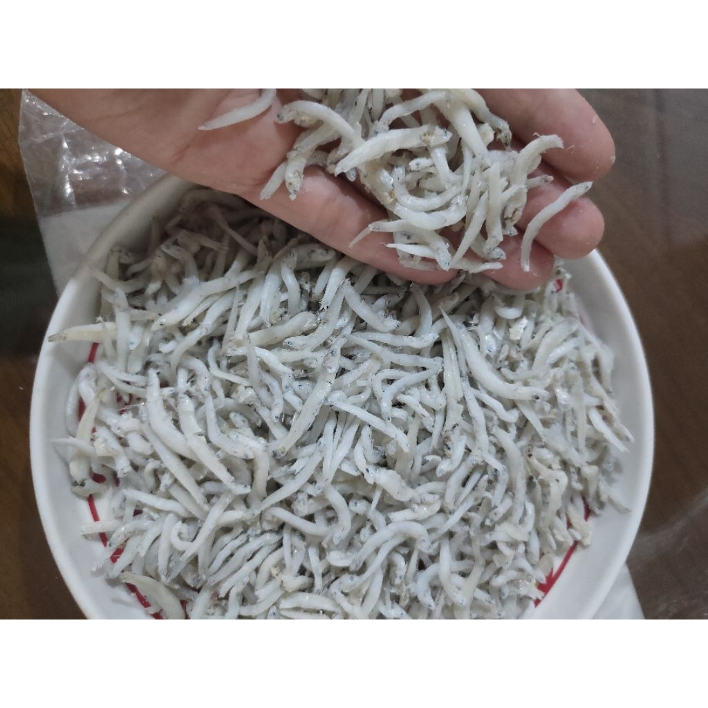 

Ikan Teri Asli Medan Besar Kualitas Super Tauge Tanpa Pewarna