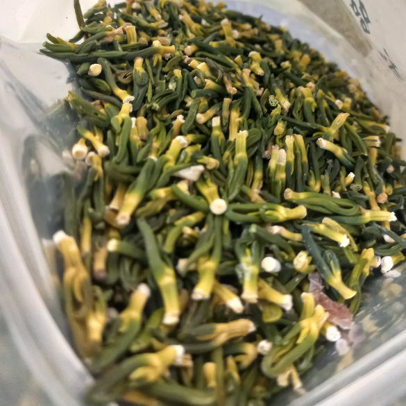 

Lotus Plumule tea lian zi xin lian zhi xing teh lotus plumule diabetes mengatasi diare