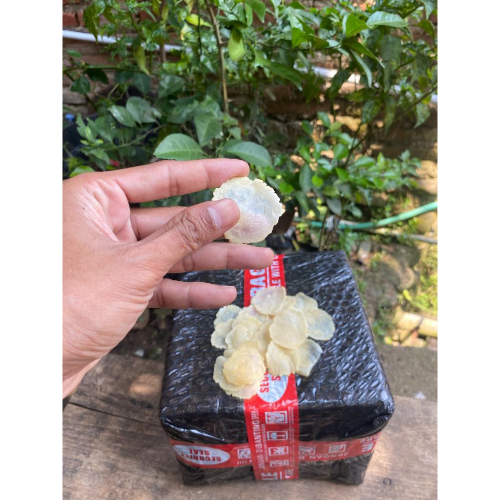 

1kg emping full kering biji (1) khas pekalongan