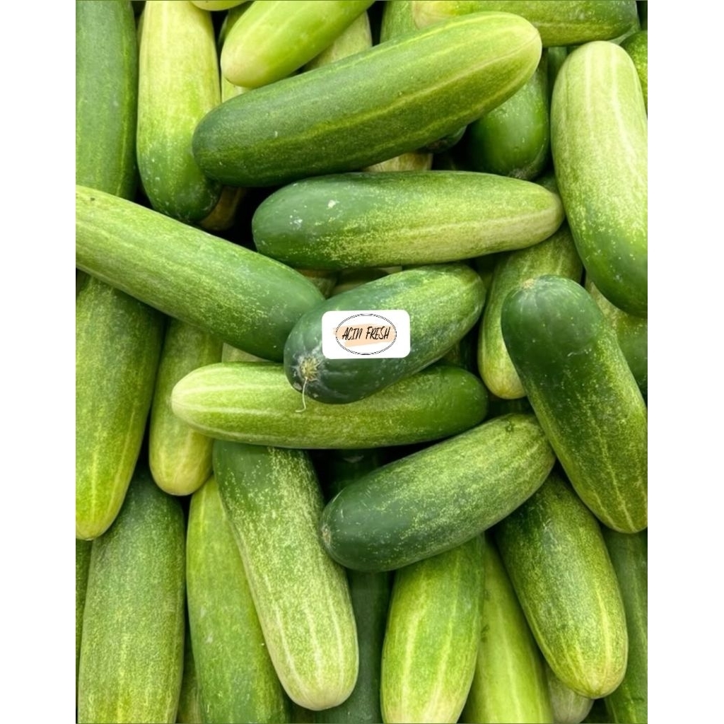 

[BOGOR/CIBINONG] TIMUN SEGAR 500GR