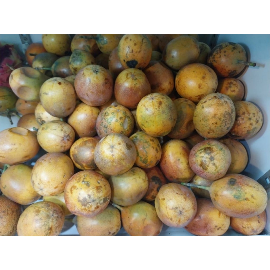 

buah markisah madu 1 kg