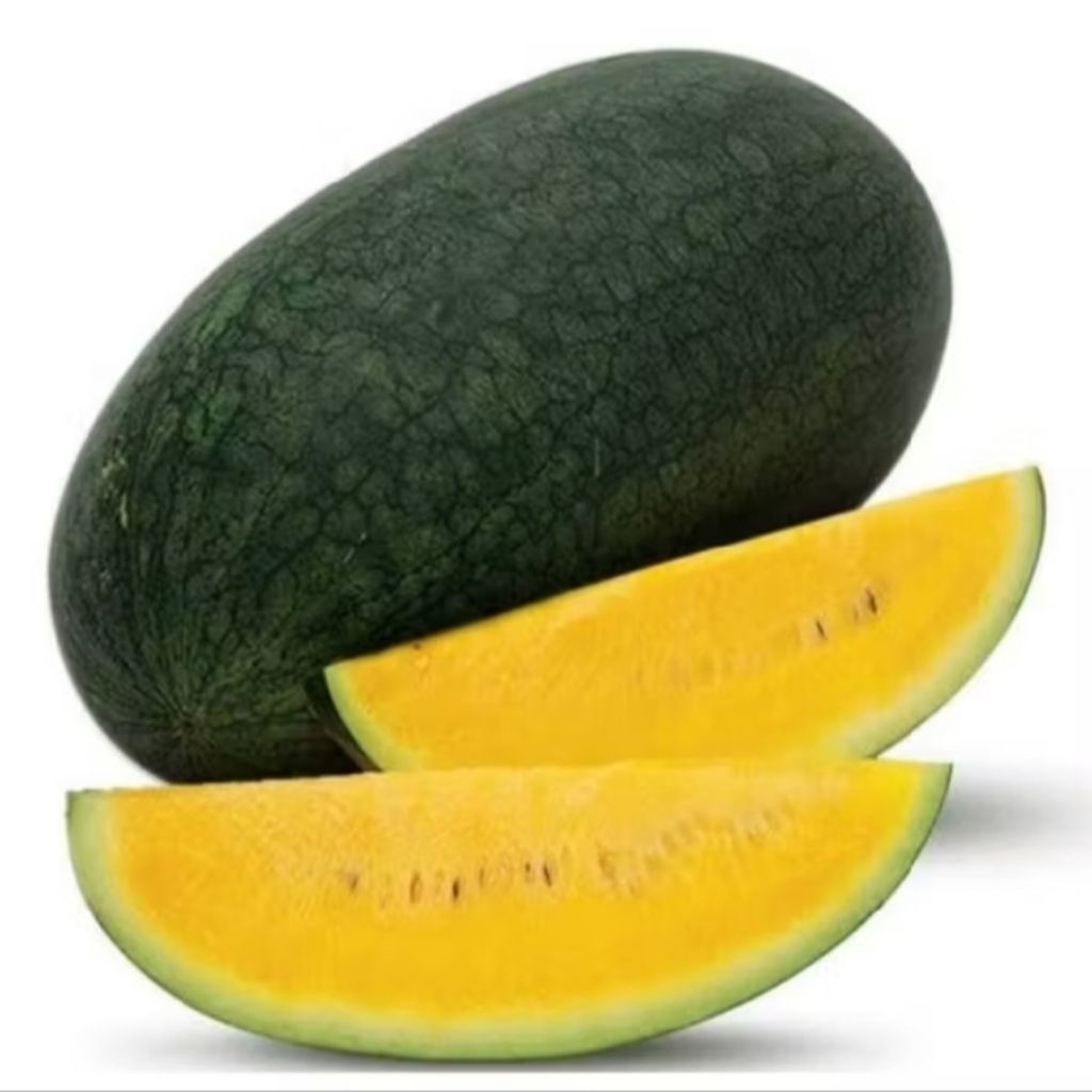 

semangka inul kuning perbiji