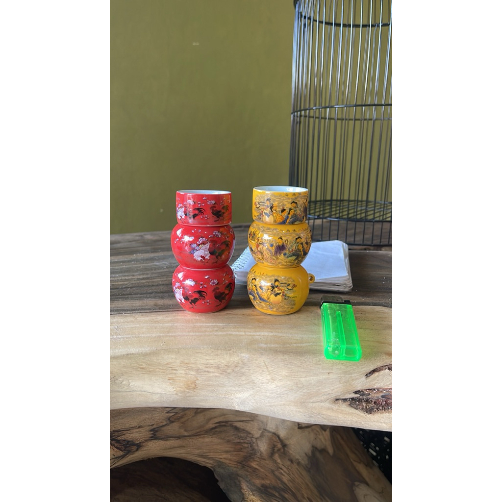 cepuk cungkok ori tempat minum burung cungkok ori