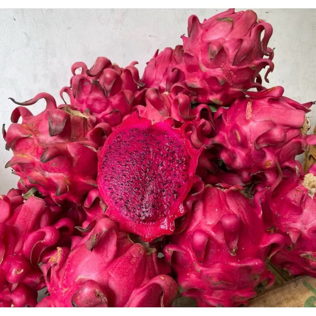 

Buah Naga Merah Super Fresh 1kg