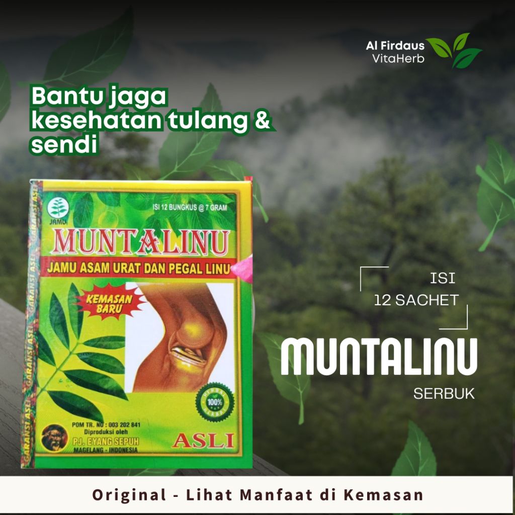 

Serbuk seduhan herbal Muntalinu bantu jaga kesehatan tulang sendi tetap fit