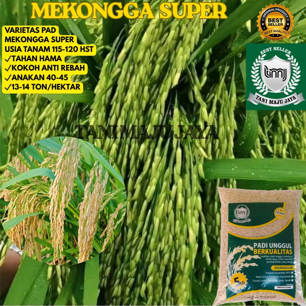 BIBIT PADI BENIH PADI UNGGUL VARIETAS MEKONGGA SUPER KEMASAN 5 KG