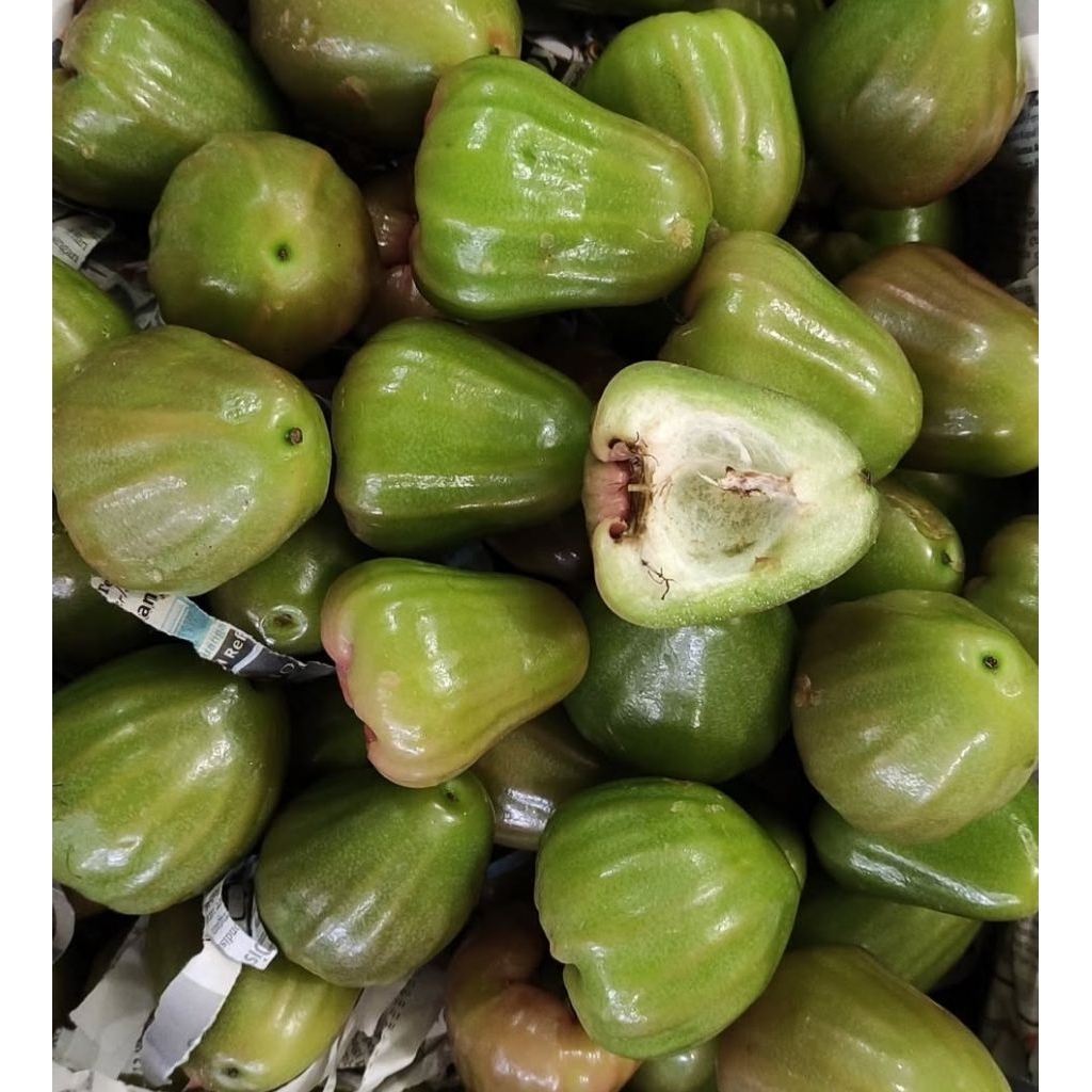 

Grosir Jambu Cincalo Hijau Manis 500 gr