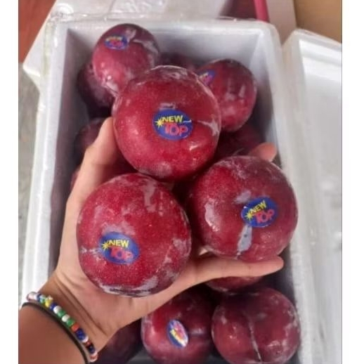 

Plum RRC 1kg
