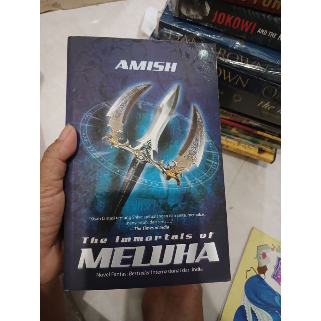 NOVEL MELUHA. AMISH