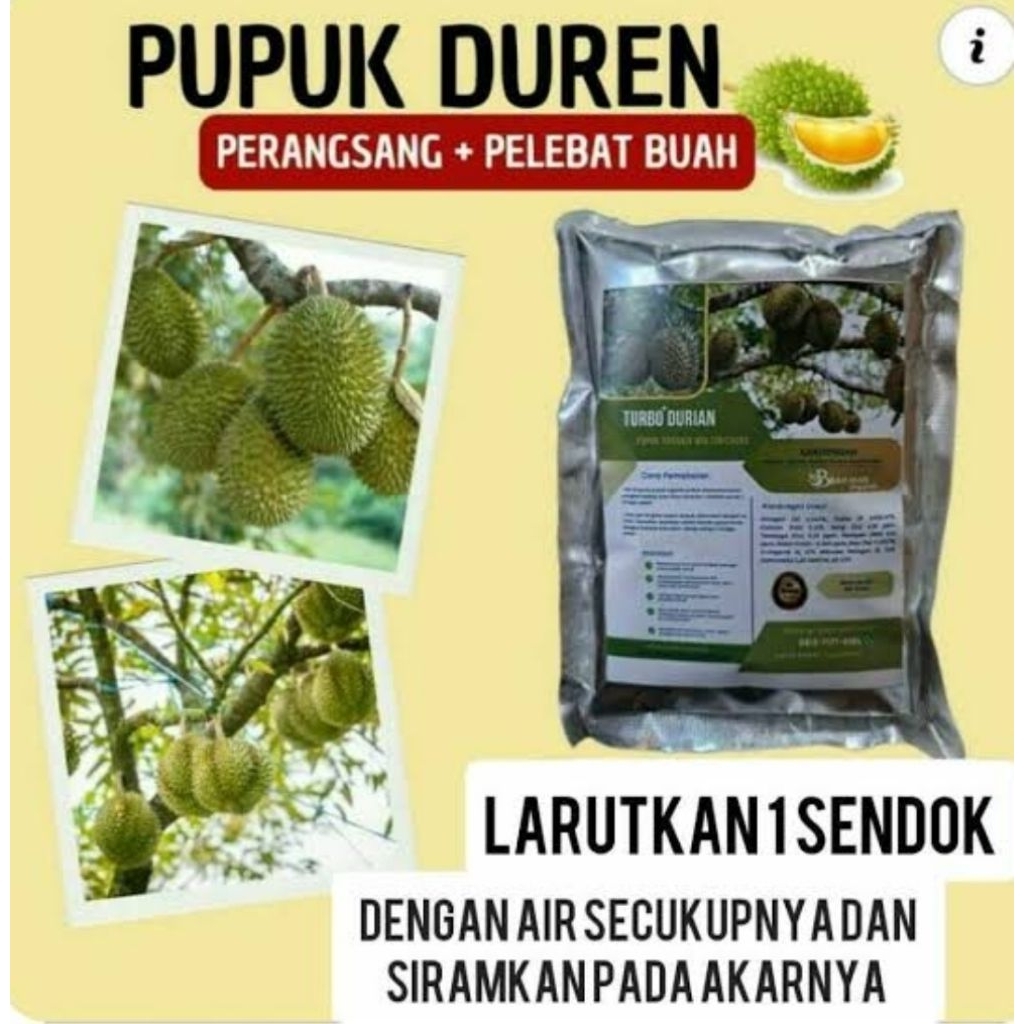 pupuk Turbo pelebat buah durian