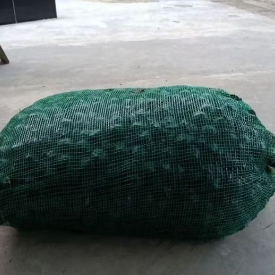 

10 kg paket cargo lalapan jngkol muda segar(belum kupas)