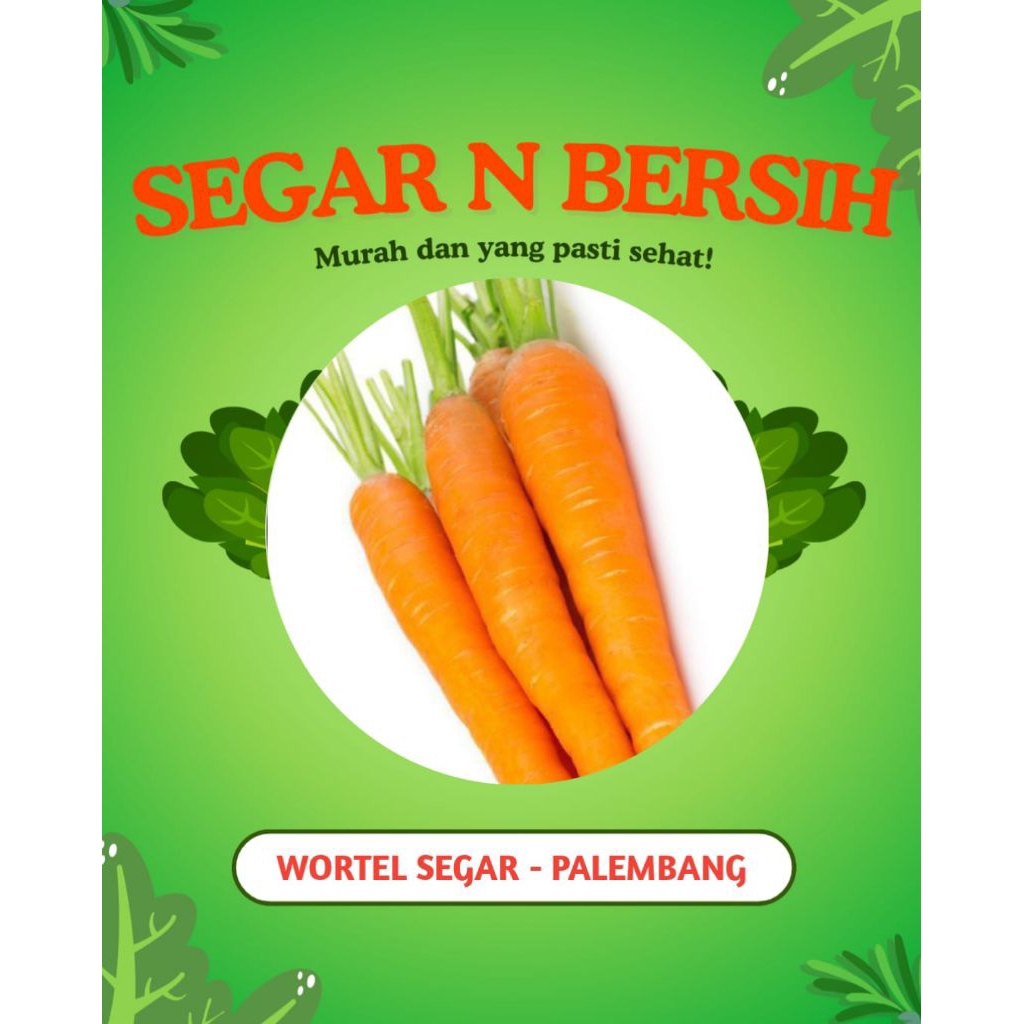 

WORTEL SEGAR - PALEMBANG