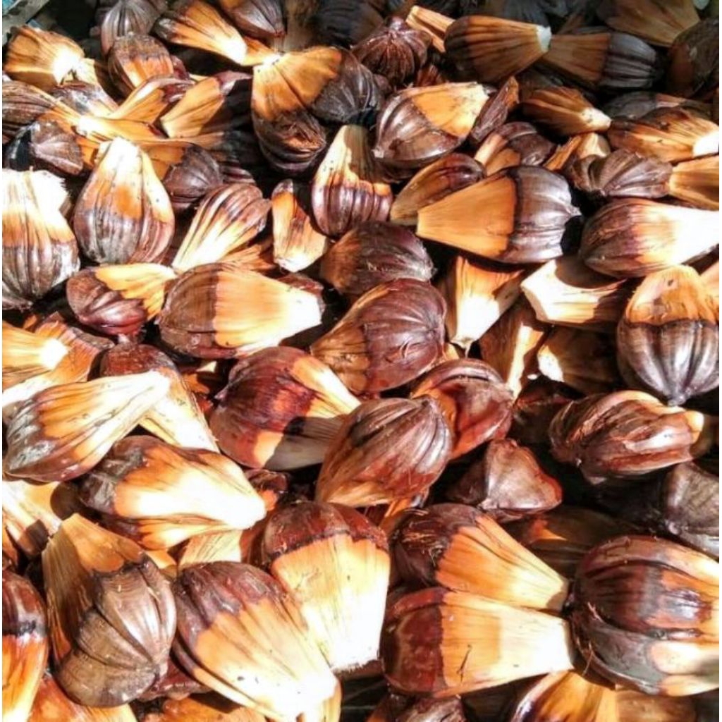 

(1 kg)buah dahon / nipah