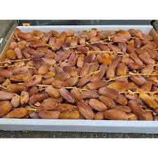 

Kurma Tunisi Tangkai Premium 100% Asli 5 kg Dus - Manis Alami, Daging Tebal