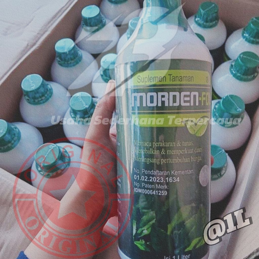 MORDEN - FOL Suplemen Tanaman