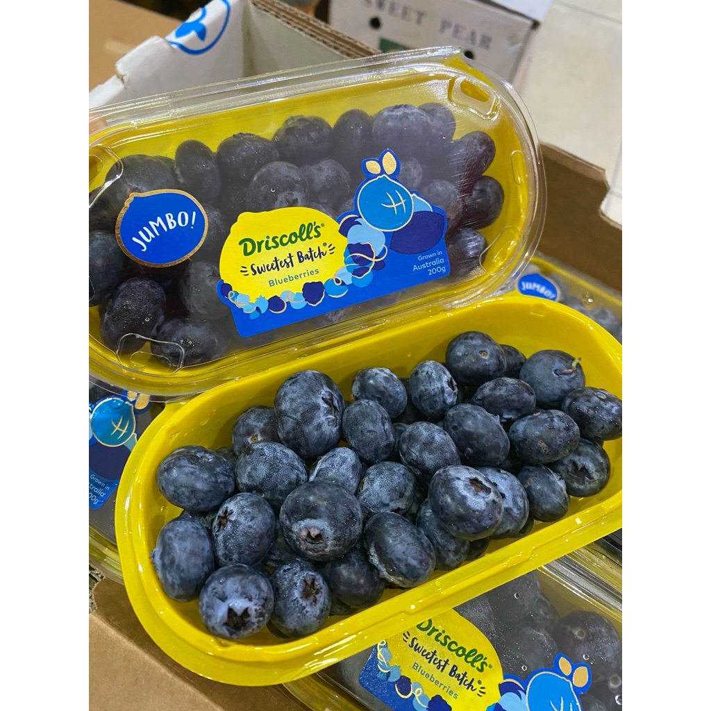 

BLUEBERRY JUMBO FRESH TERMURAH (VITAMIN TINGGI, ANTIOKSIDAN TINGGI, BAGUS)