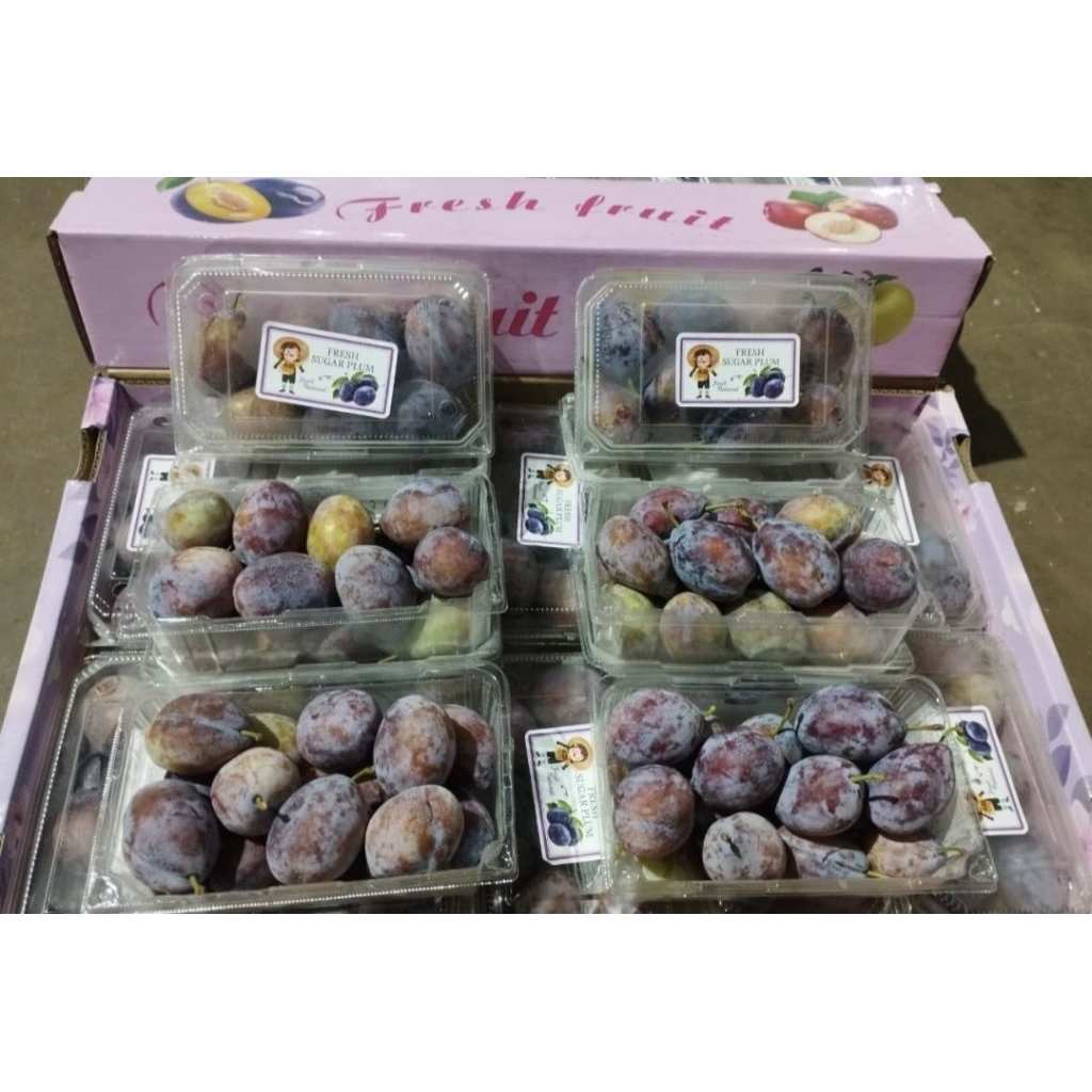 

Sugar Plum Malang Kota