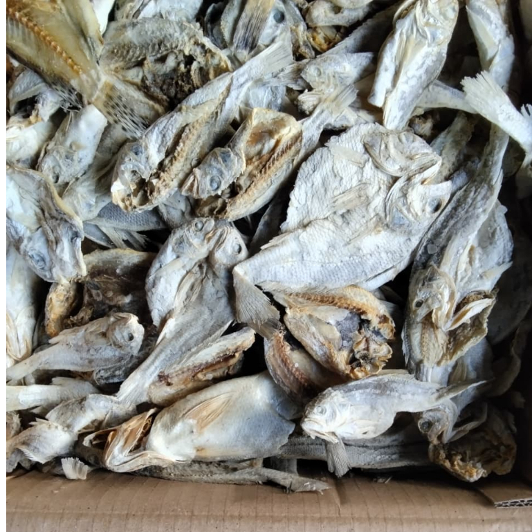 

IKAN ASIN KEPALA BATU 250GR