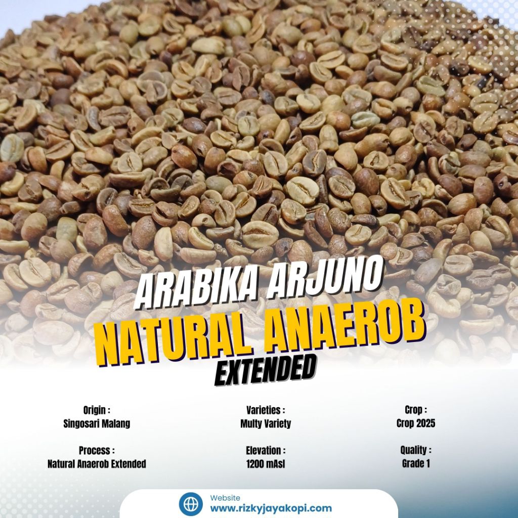 

Greenbean Arabika Arjuno Natural Anaerob Extended 1Kg