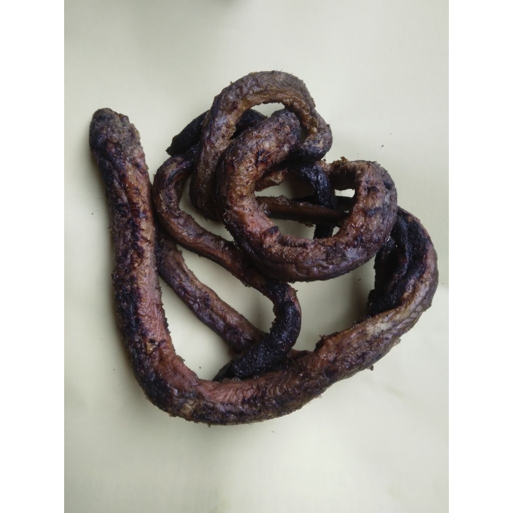 

Belut Bakar Enak Gurih – Olahan Ikan Belut,Lauk Praktis