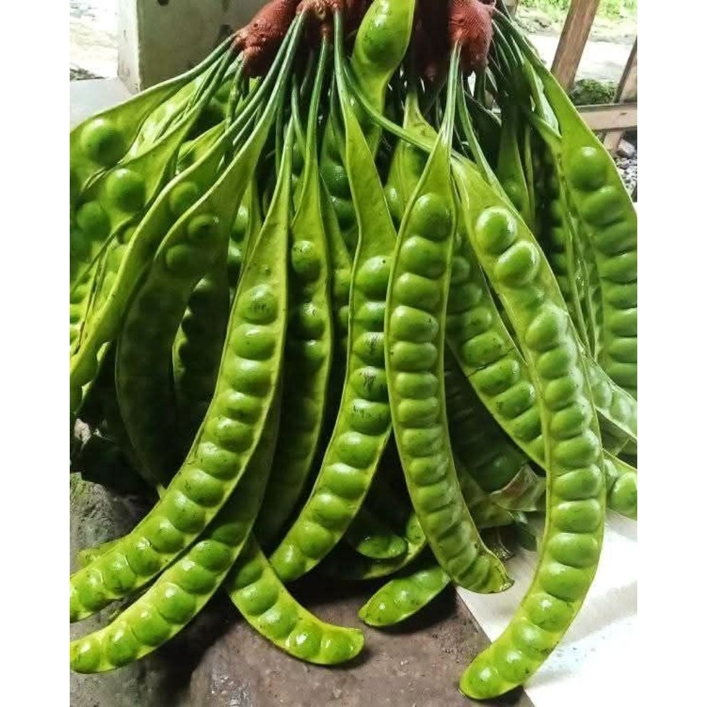 

pete super pilahan 10 papn feres