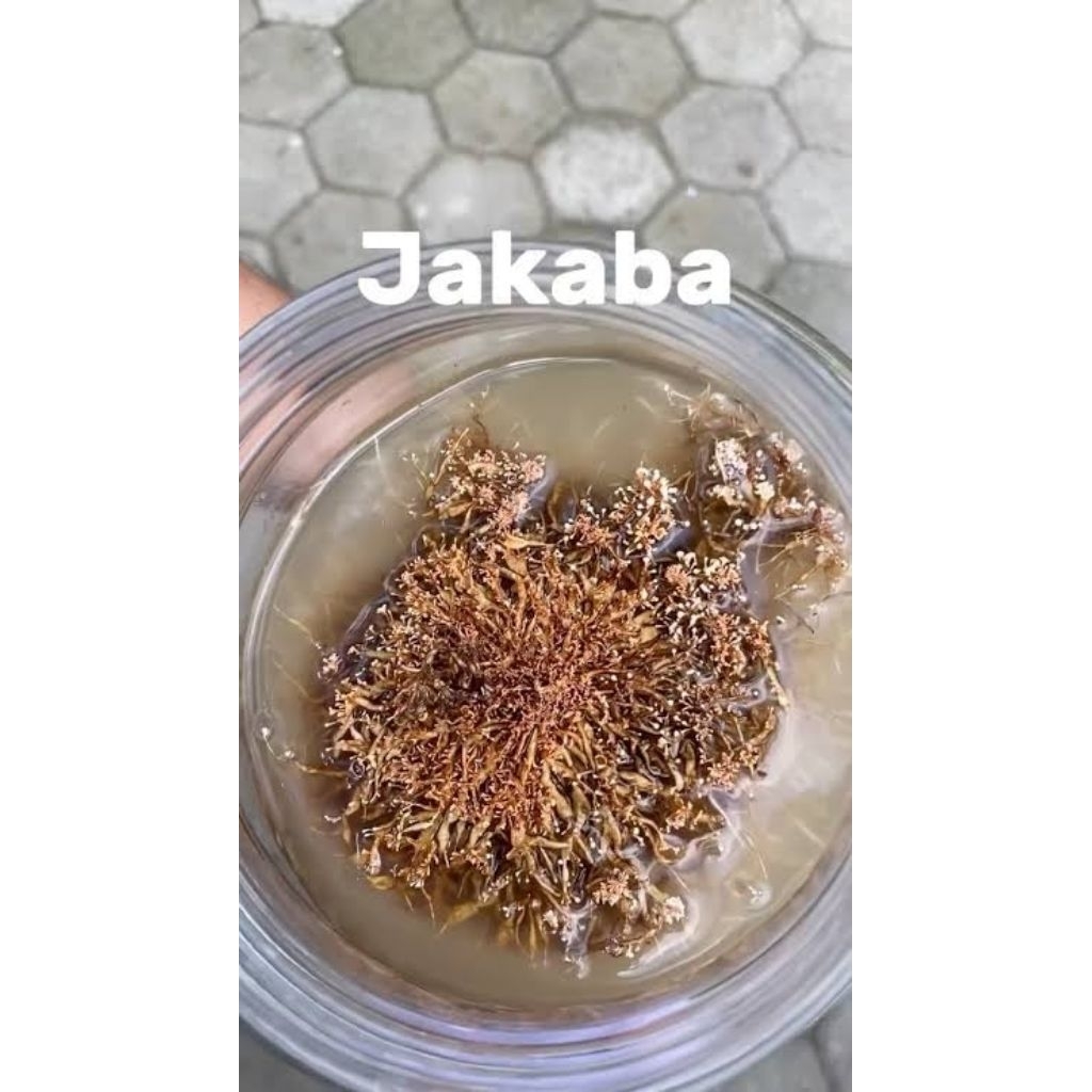 jakaba