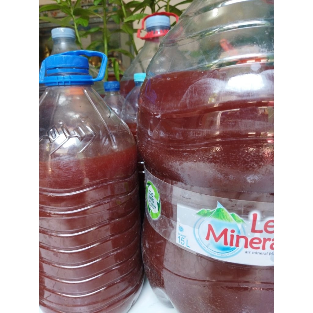 600 ml PSB FOTOSINTESIS