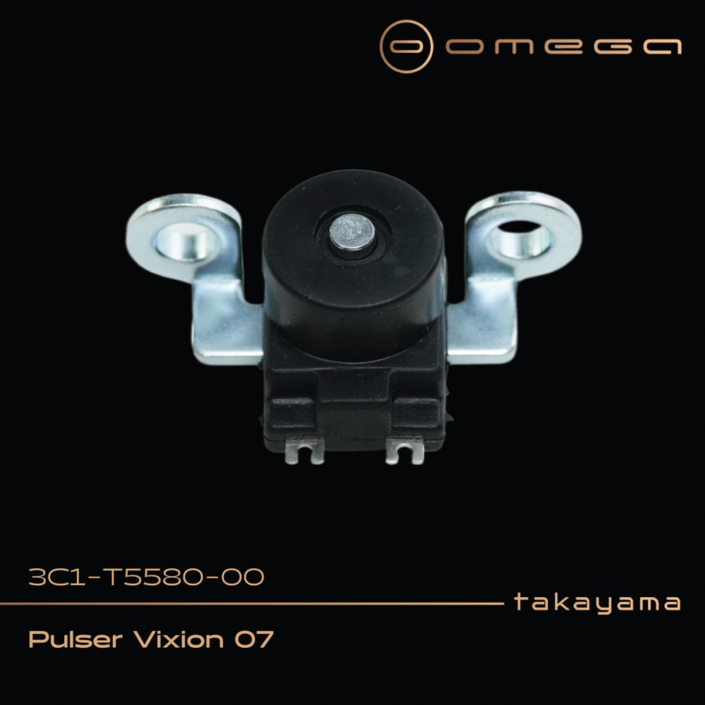 Takayama Pulser Vixion 07