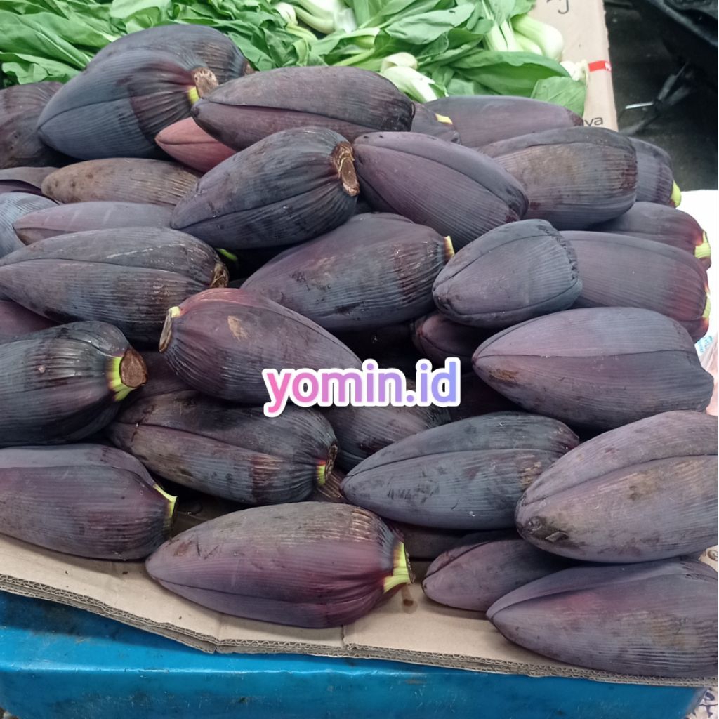 

Jantung Pisang 1 Buah