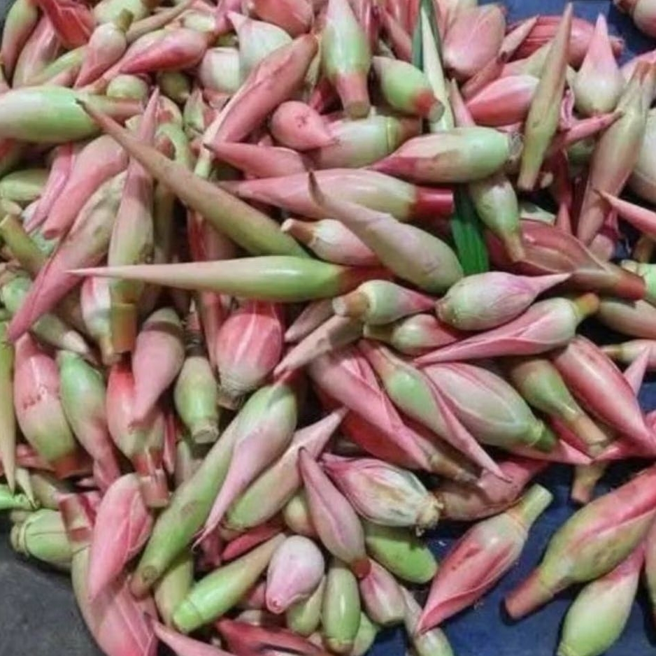 

isi paket 2 barang atou macam/bunga kecombrang segar500 gram/paksi sayur 500 gram