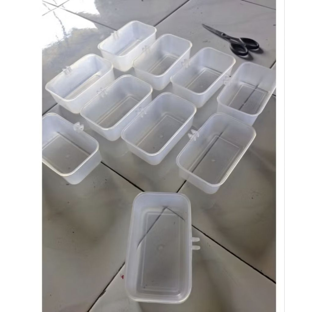 Cepuk Mandi burung Kenari Lovebird Murai Kacer