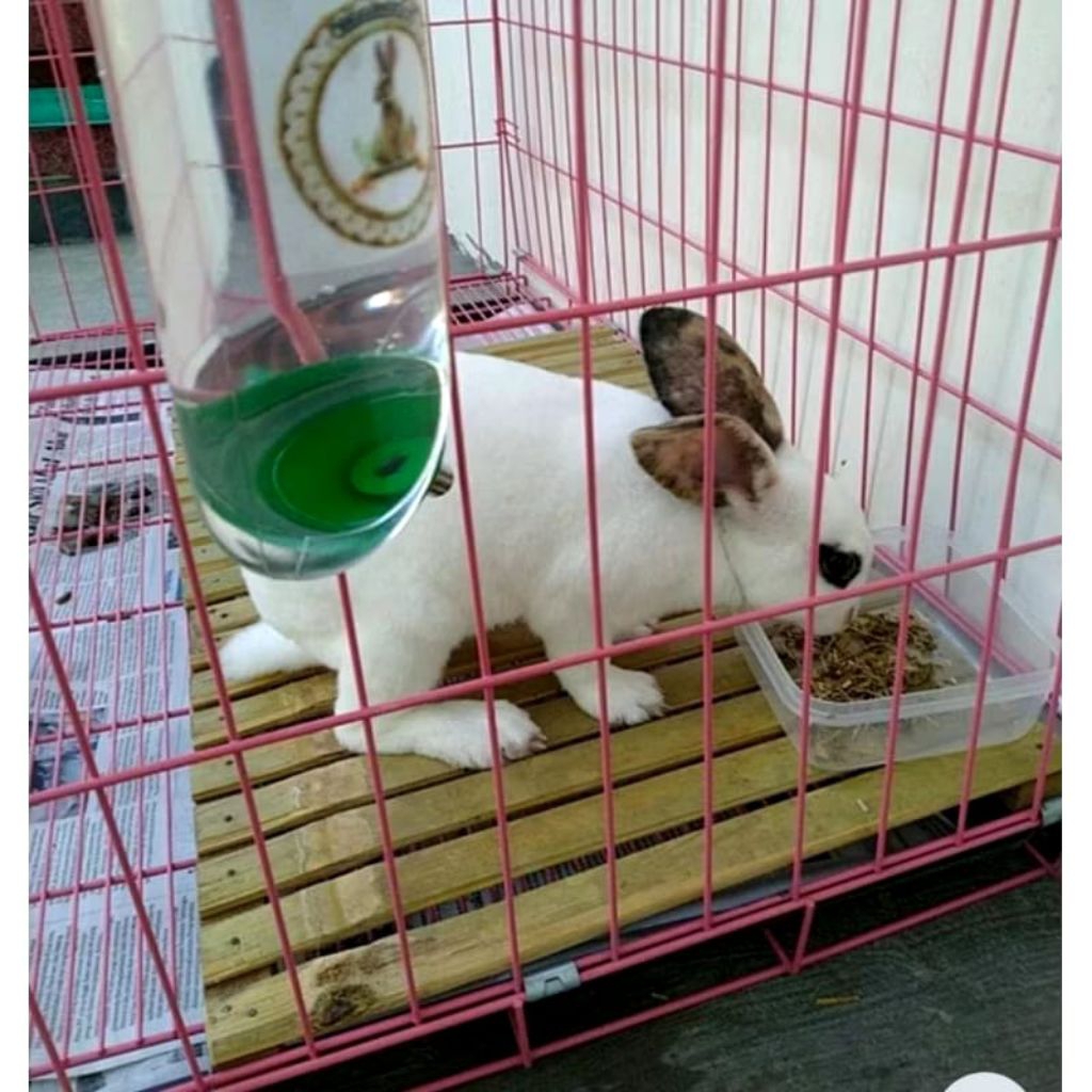 Alas Kandang Kelinci  Footrest Alas Kandang Kelinci Bambu uk, 70x40cm / Alas Kandang Kelinci