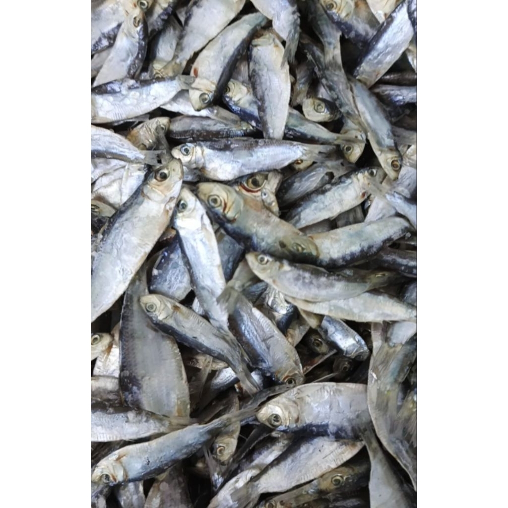 

ikan asin jambal 1kg
