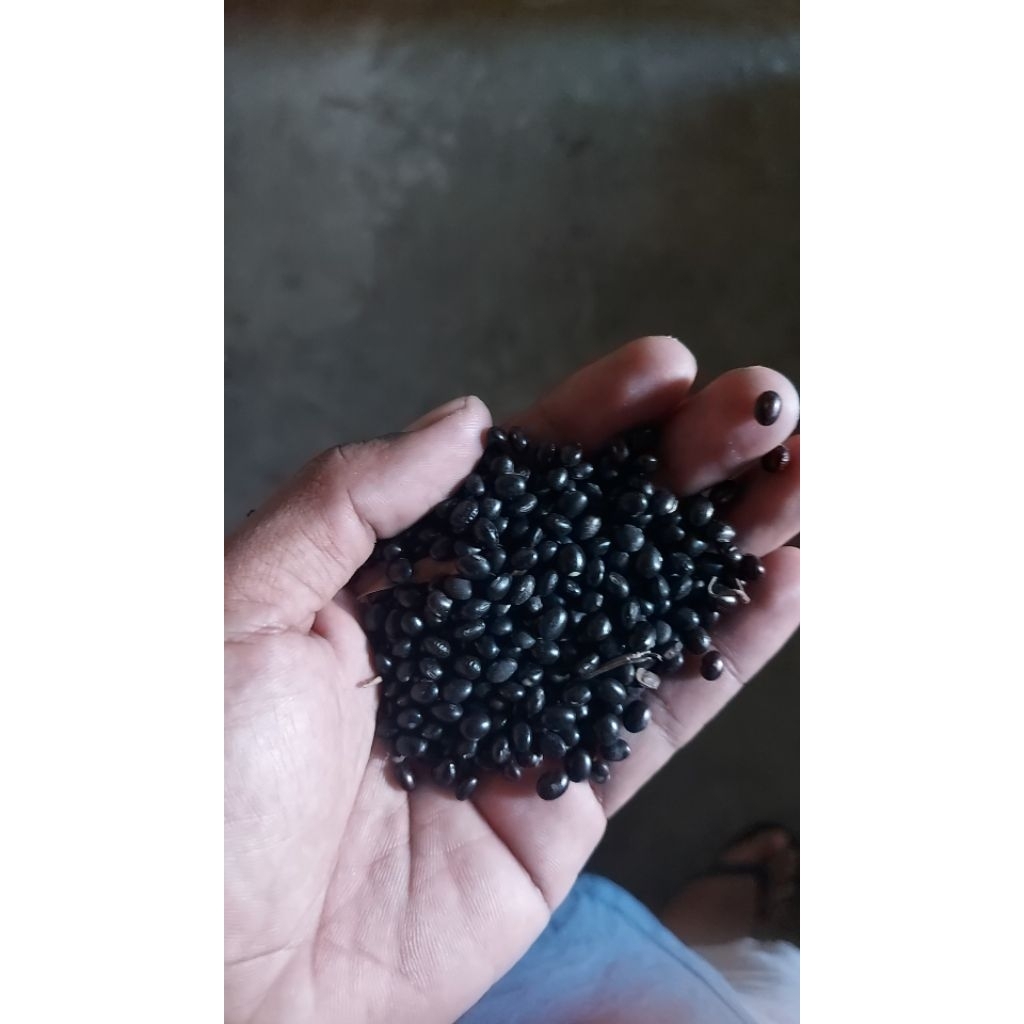 

Kedelai Hitam Kemasan 250 gram