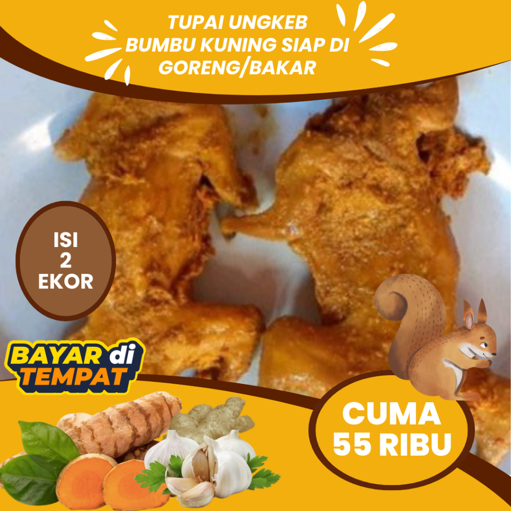 

DAGING TUPAI BUMBU KUNING SIAP GORENG DAN BAKAR PER 2 EKOR- DAGING TUPAI KELAPA ENAK BERHASIAT
