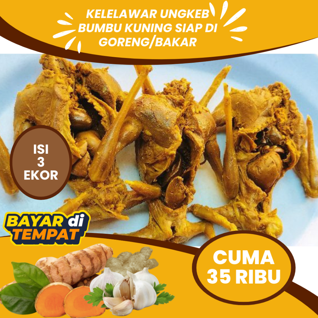 

DAGING KELELAWAR KELAPA ATAU CODOT UNGKEB SIAP GORENG DAN BAKAR- DAGING KELELAWAR BERHASIAT OBAT ASMA ISI 3 POTONG