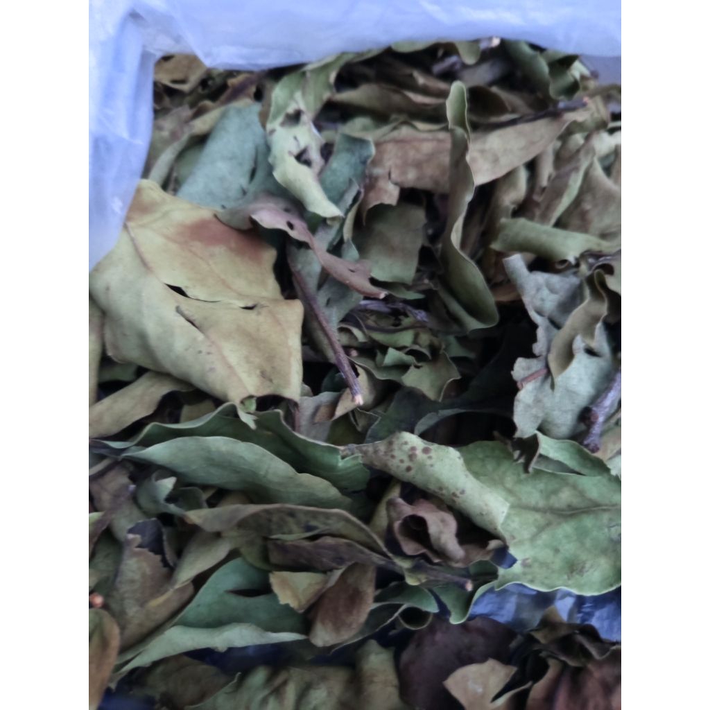 

jual benalu kelor kering 500gram