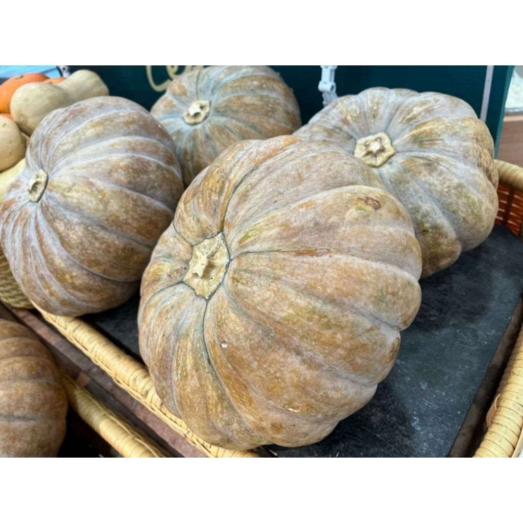 

Labu Parang suprema per 2,5kg 1biji