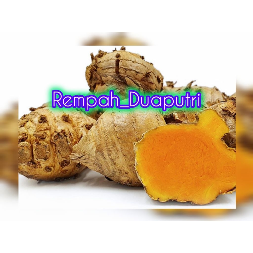 

Temulawak segar (1kg) kualitas grade A