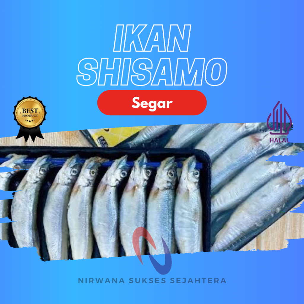 

IKAN SHISAMO, CIPUNG VIRAL SEGAR / CAPELIN FISH