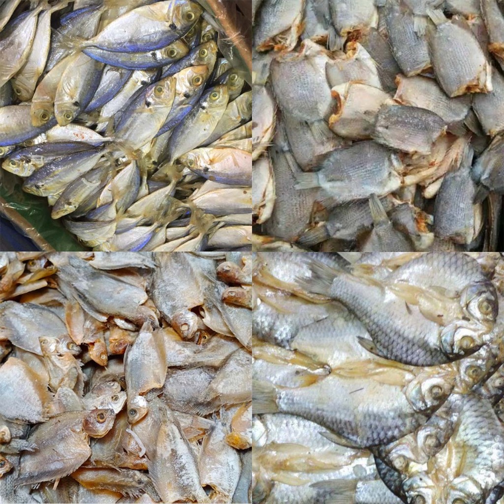 

Aneka Ikan Asin Tawes, Selar, Sepat, Tembakang 100g