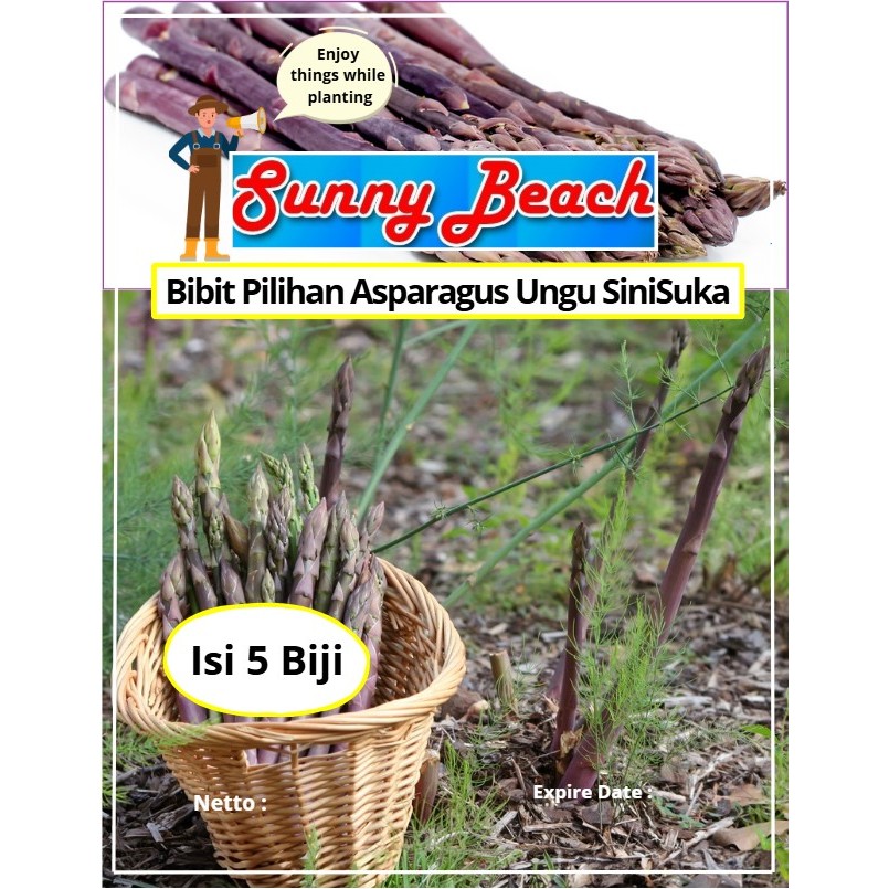 Bibit Pilihan Asparagus Ungu SiniSuka | Biji Benih Asparagus Ungu | Asparagus