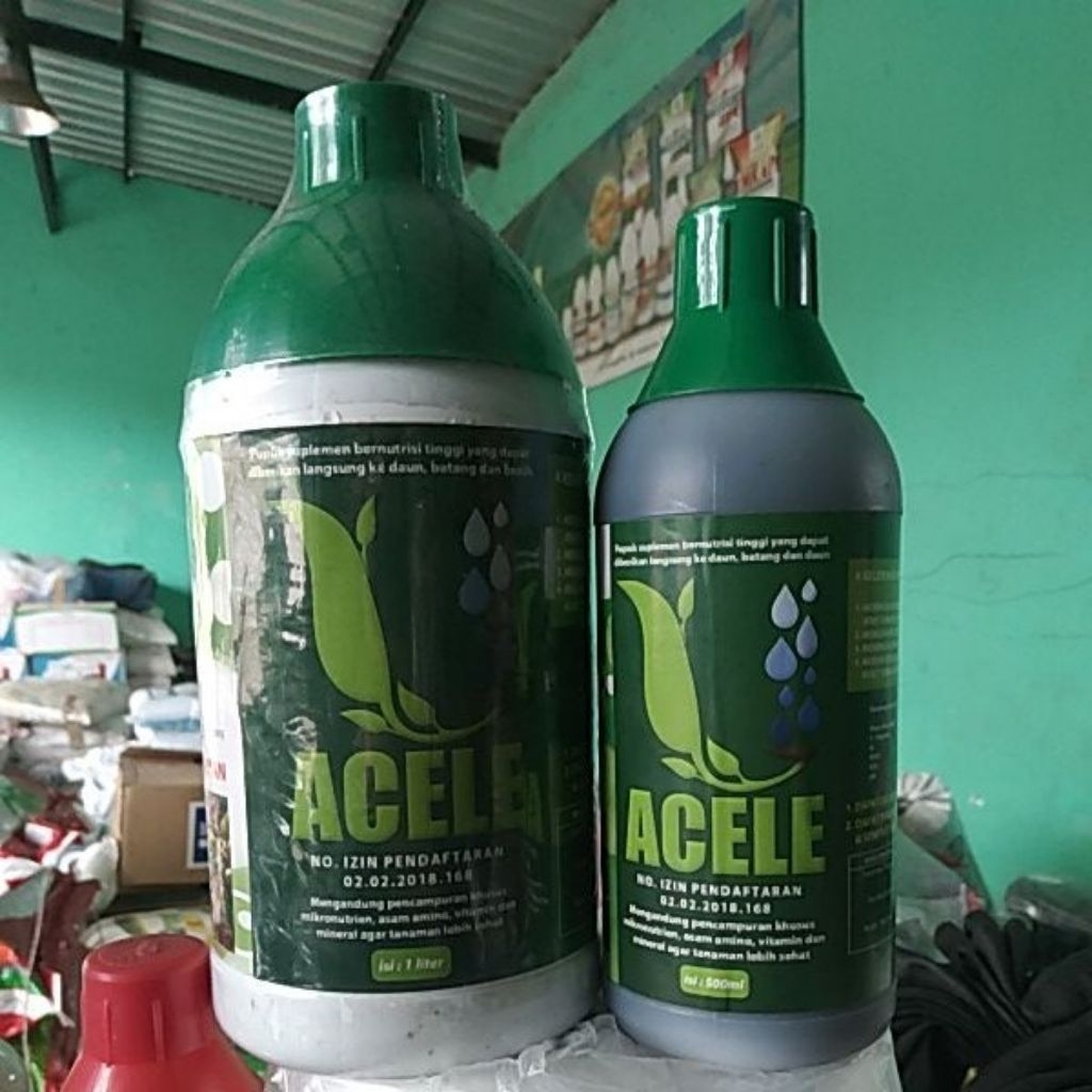 PUPUK ASAM AMINO ACELE