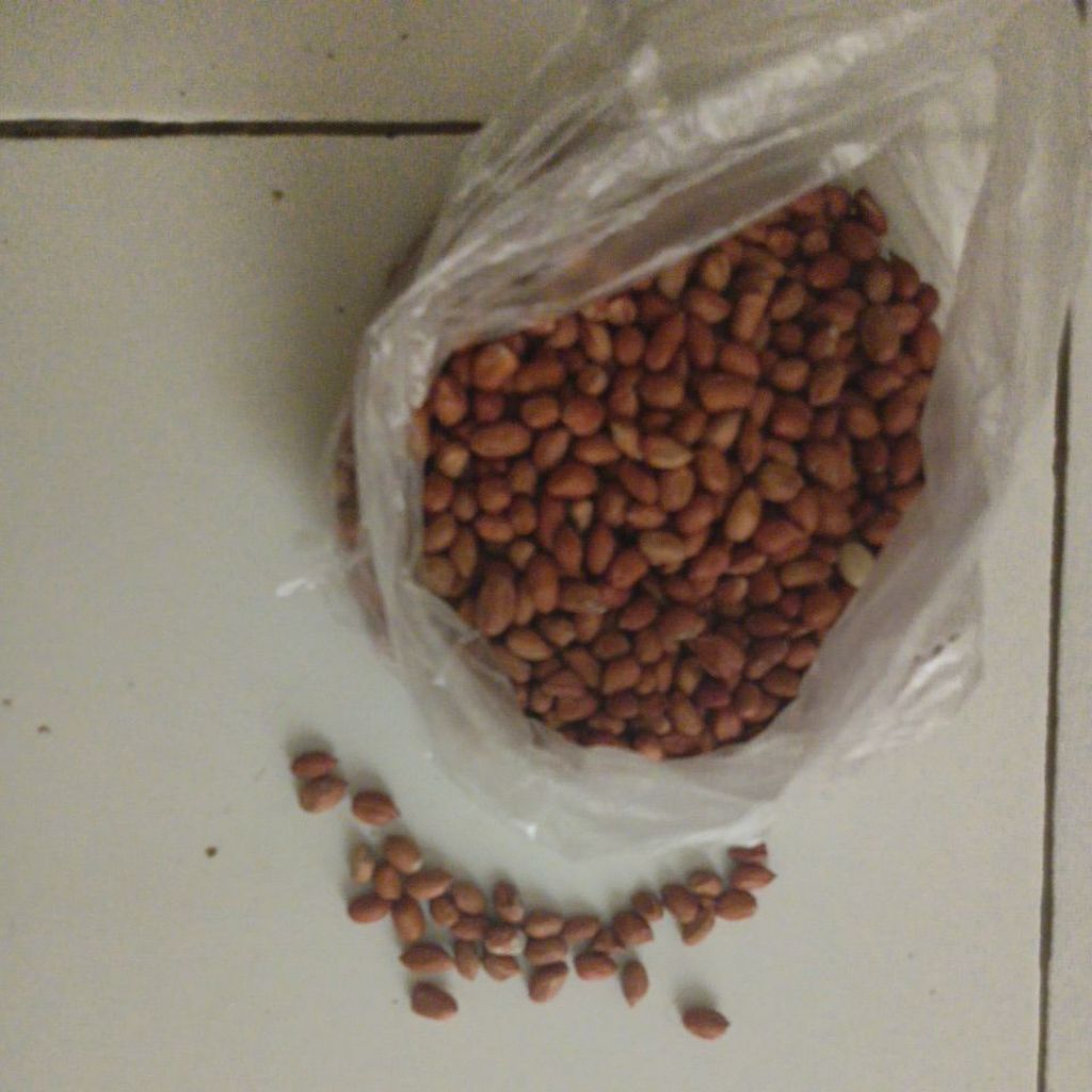 

Kacang Goreng Gurih
