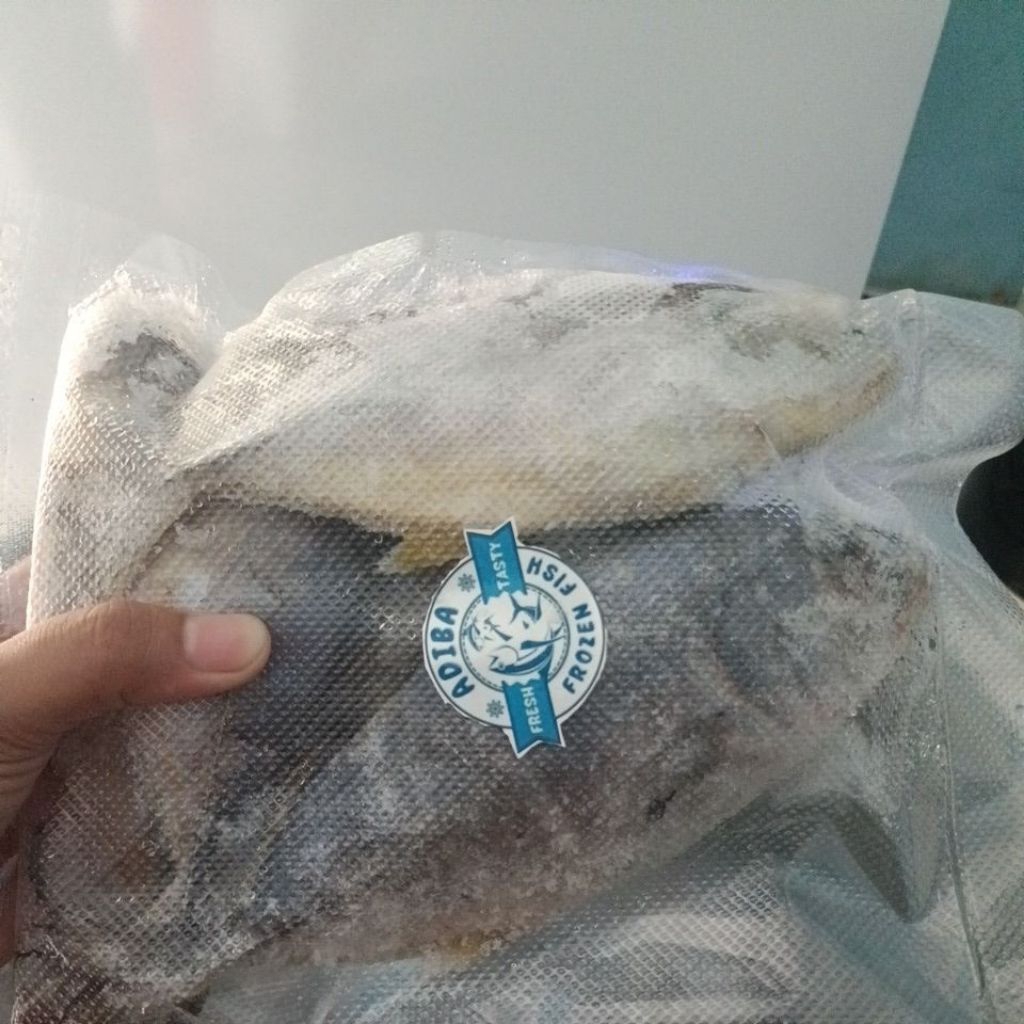 

ikan kue 500 gram isi 4 sampe 5 ekor