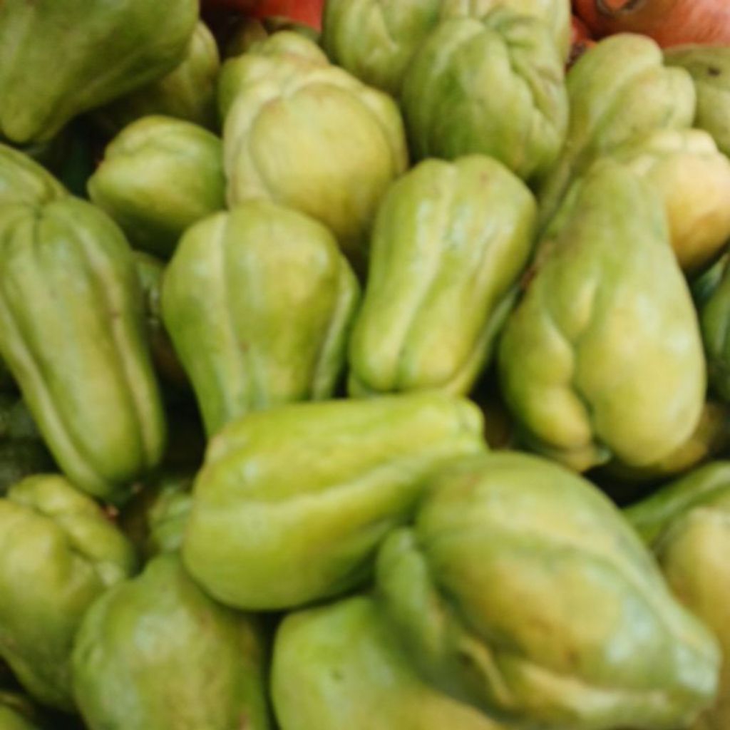 

labu beby/labu lalap PROMO HARI INI 1 kg