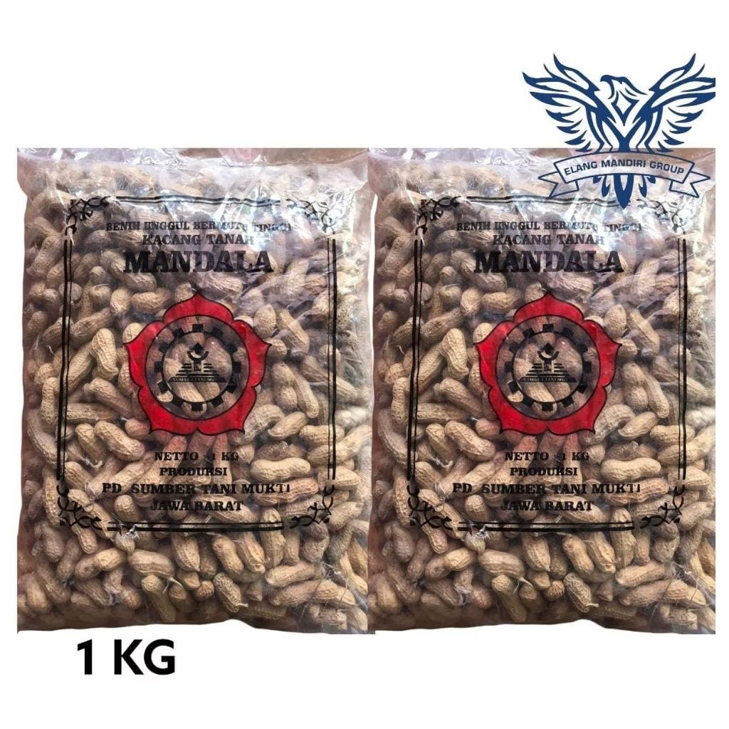Benih Kacang Tanah 1kg Bibit Sayuran Unggul Mandala
