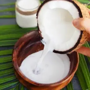 

Santen Kelapa. ( 2 Butir ) / Santan