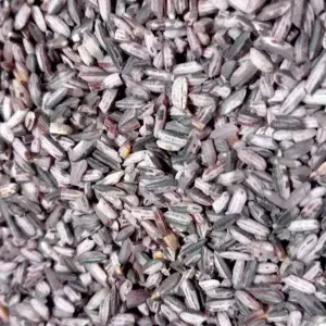 Beras Ketan Hitam Sosoh 1 Kg